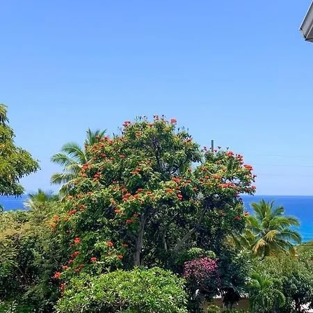A Little Aloha Apartment